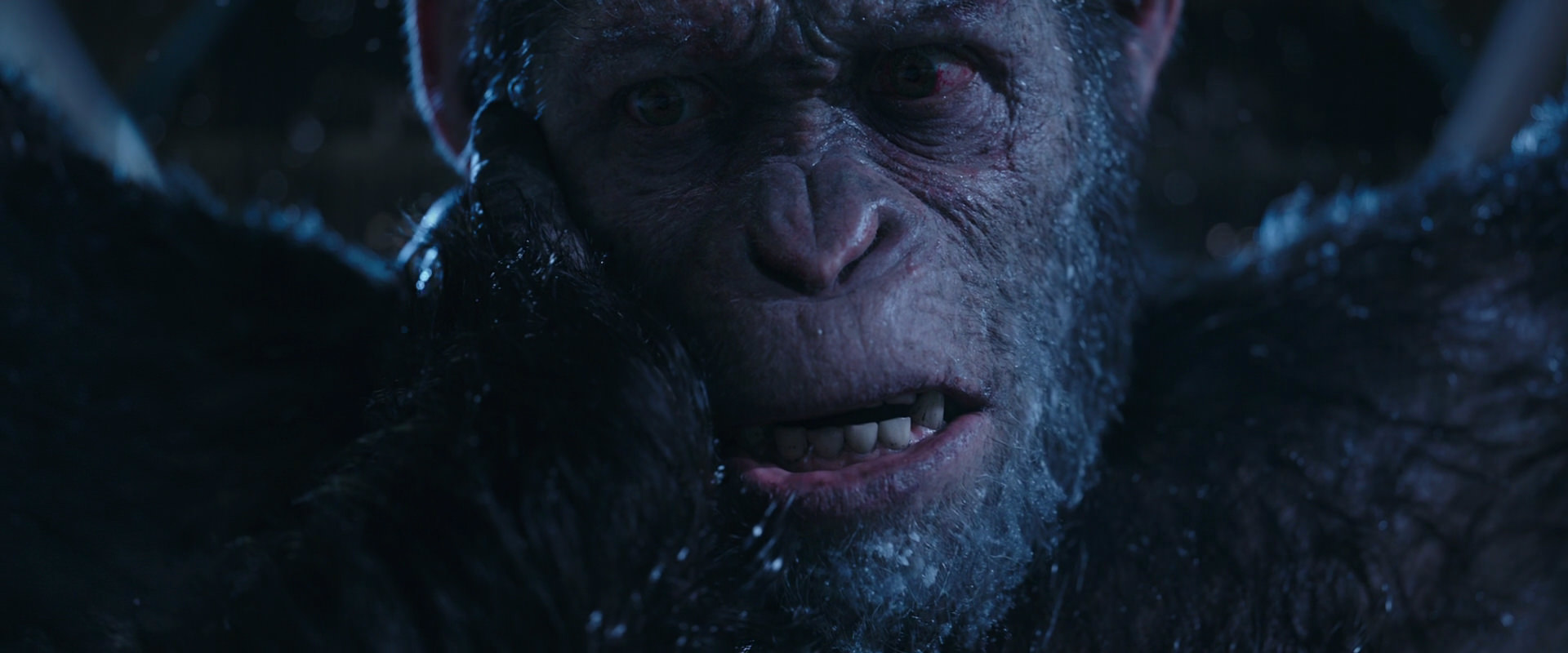 War for the Planet of the Apes (2017) HD screenshot 10550