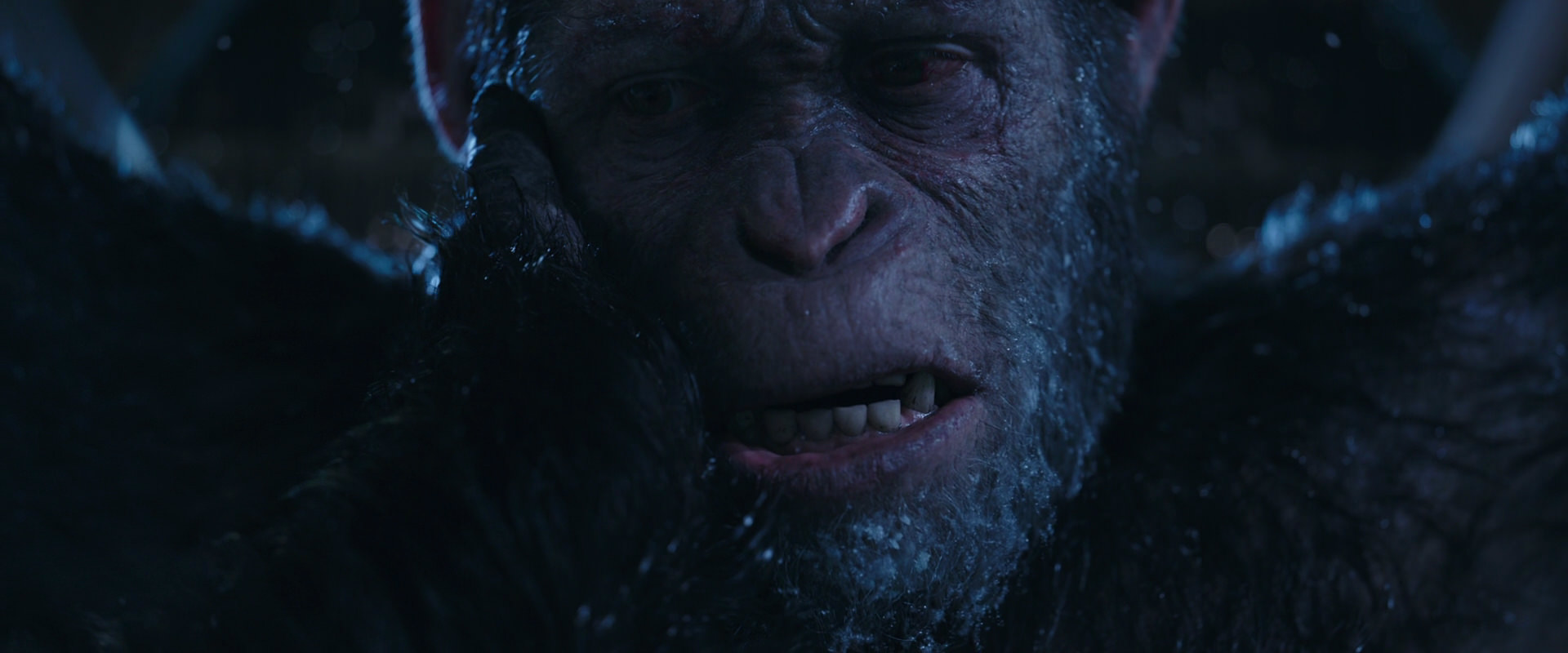 War for the Planet of the Apes (2017) screencap 10551