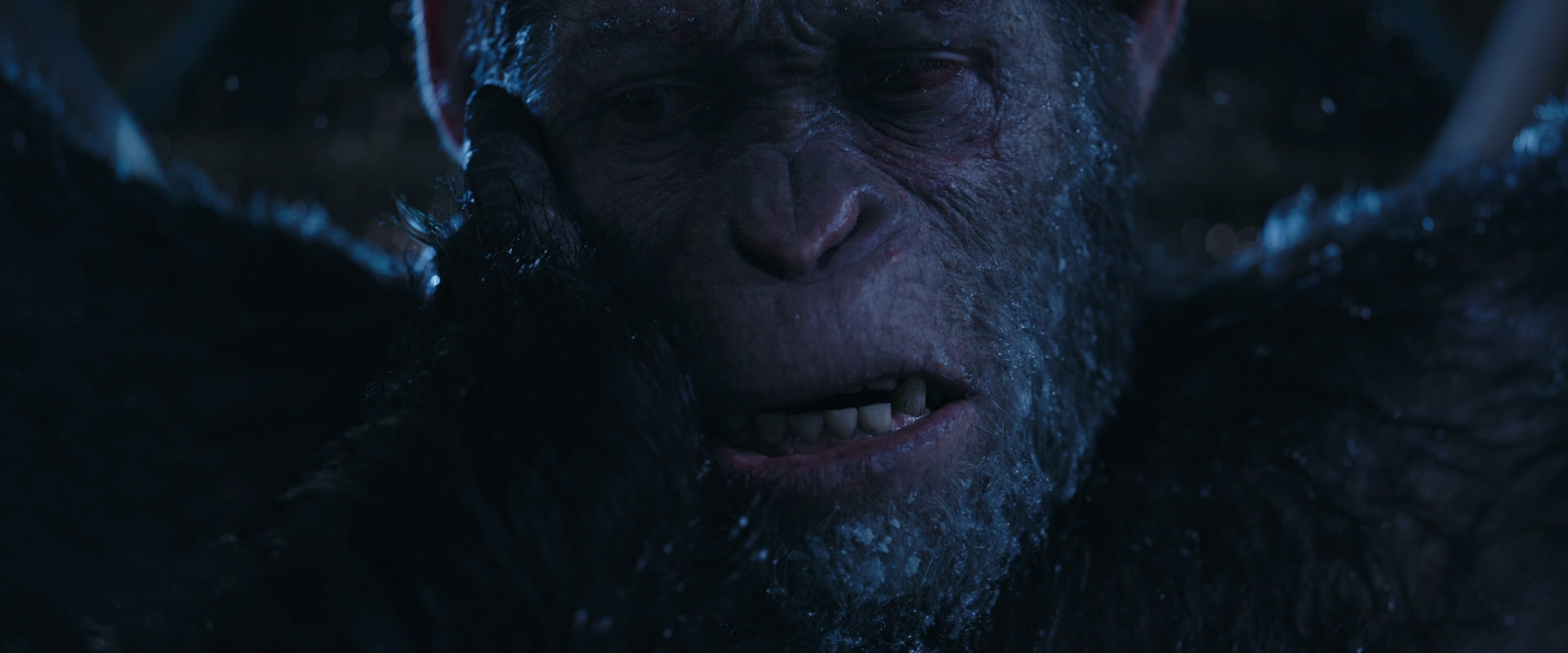 War for the Planet of the Apes (2017) movie still 10552