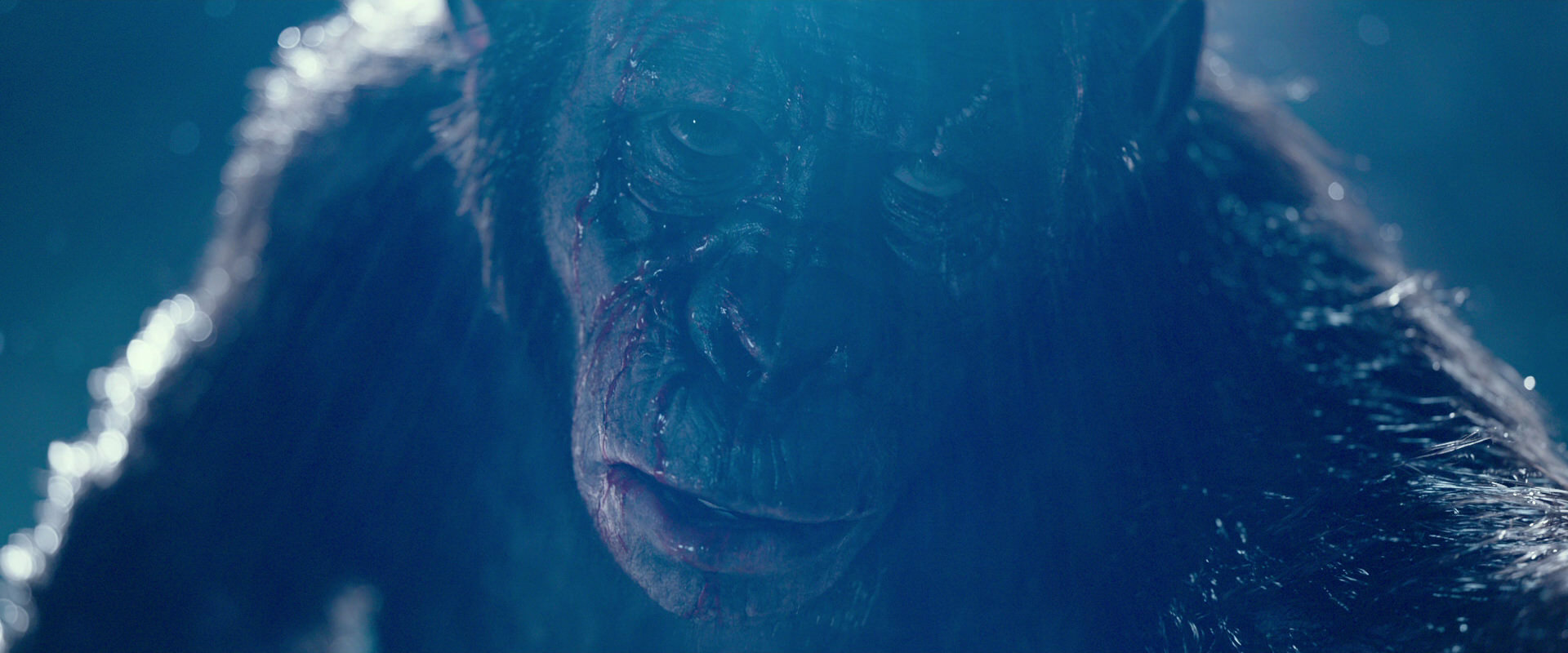War for the Planet of the Apes (2017) HD screenshot 10553