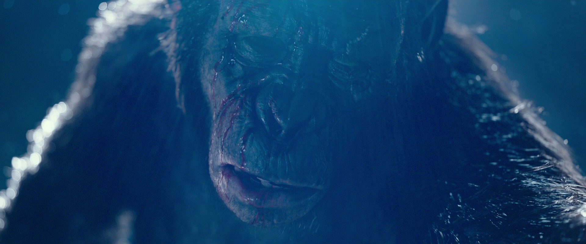 War for the Planet of the Apes (2017) screencap 10554