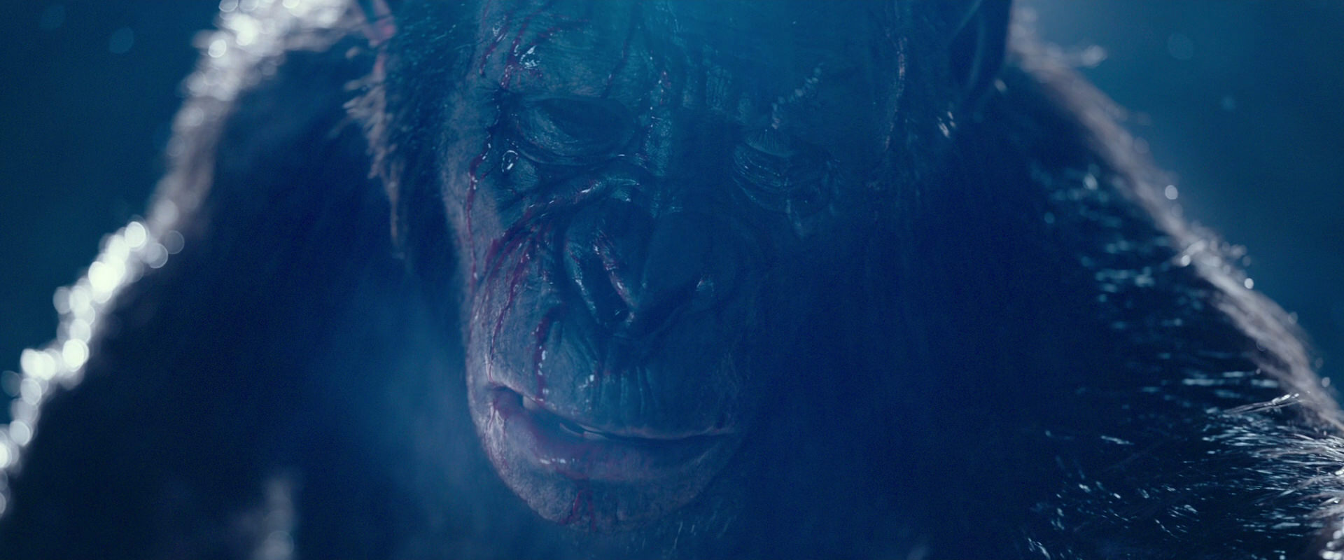 War for the Planet of the Apes (2017) movie still 10555