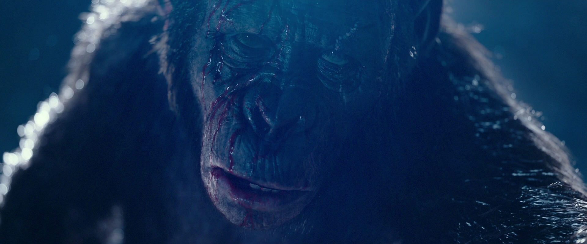 War for the Planet of the Apes (2017) screencap 10557