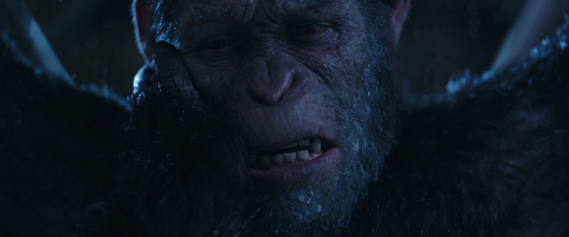 War for the Planet of the Apes (2017) movie still 10558