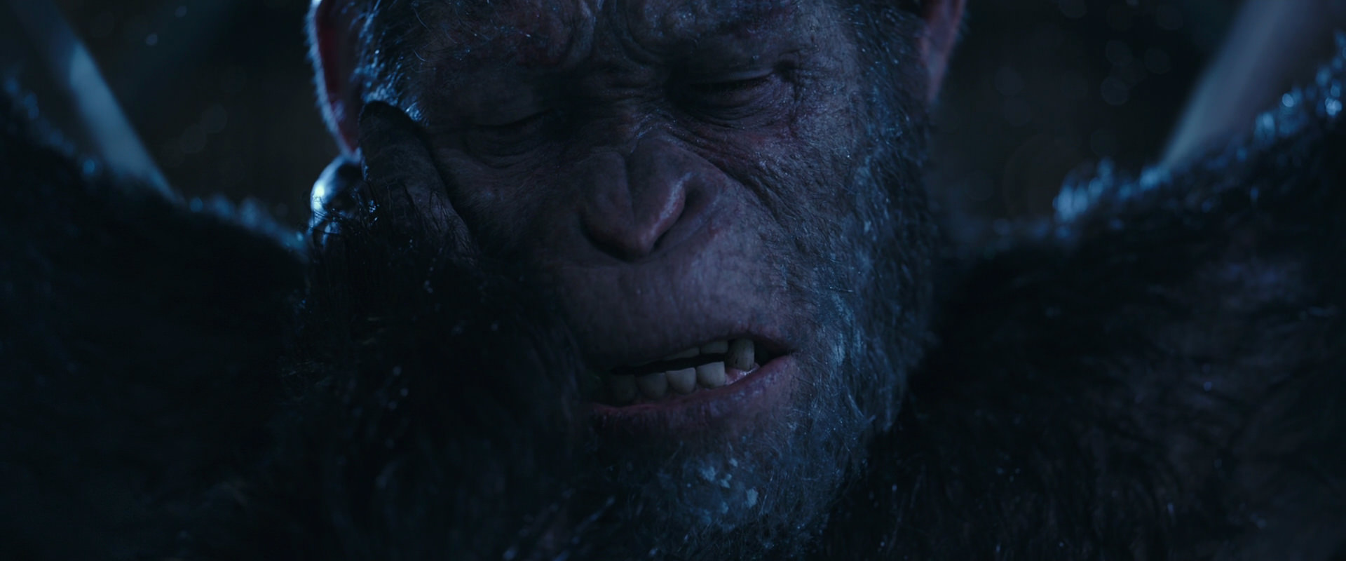 War for the Planet of the Apes (2017) HD screenshot 10559
