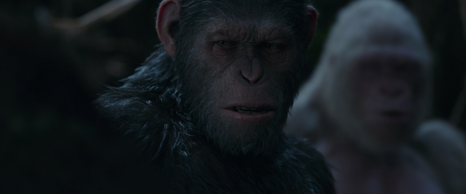 War for the Planet of the Apes (2017) screencap 1056