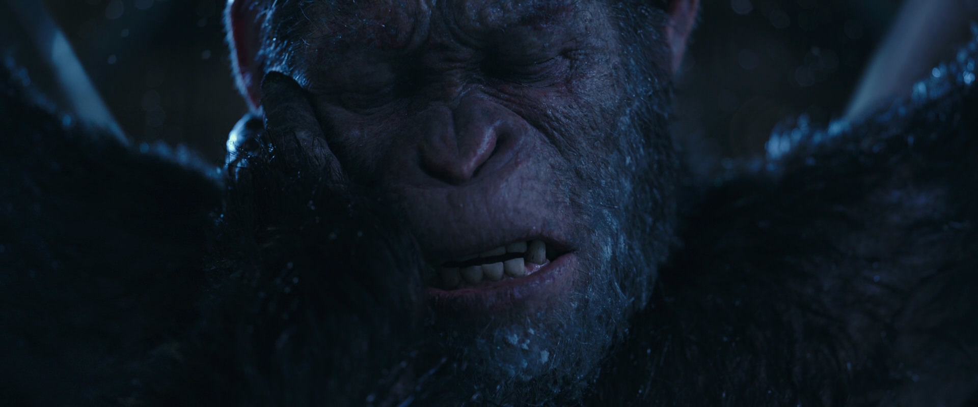 War for the Planet of the Apes (2017) screencap 10560