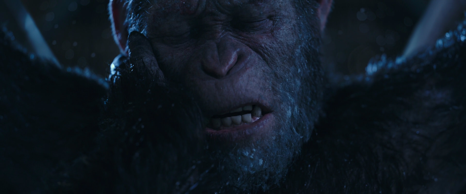 War for the Planet of the Apes (2017) movie still 10561