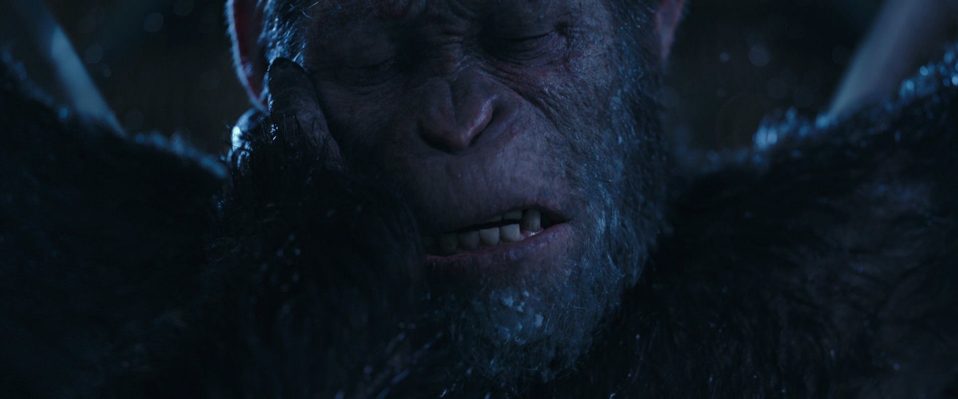 War for the Planet of the Apes (2017) HD screenshot 10562