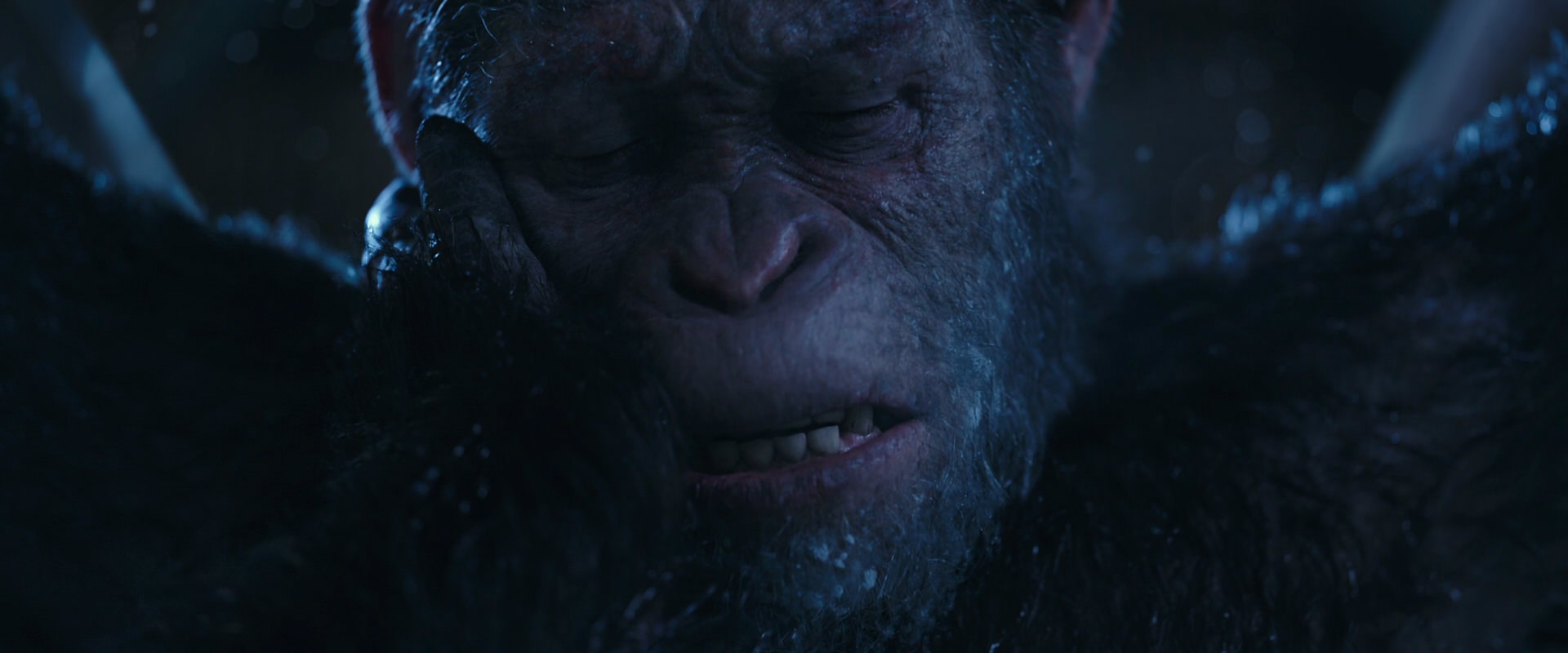 War for the Planet of the Apes (2017) screencap 10563
