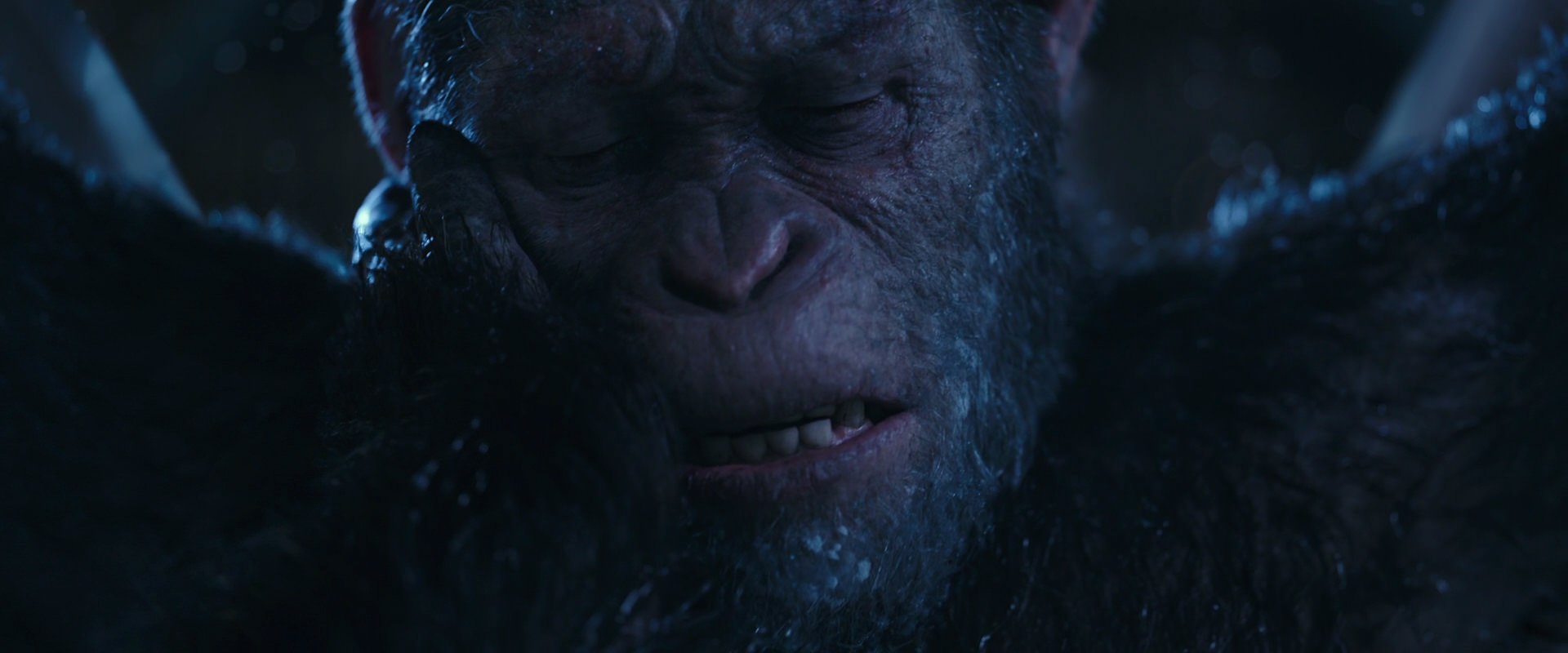 War for the Planet of the Apes (2017) movie still 10564