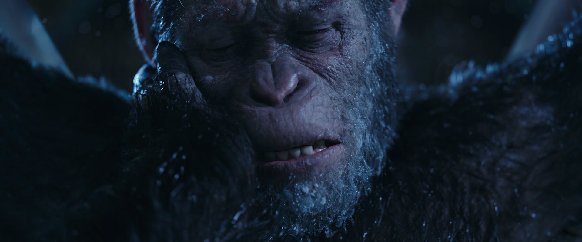 War for the Planet of the Apes (2017) HD screenshot 10565