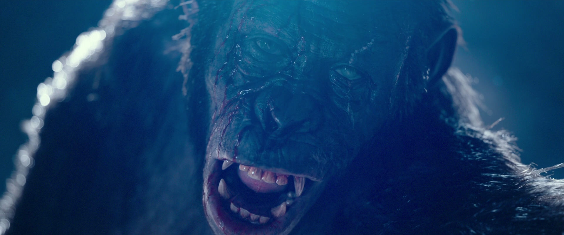 War for the Planet of the Apes (2017) screencap 10566
