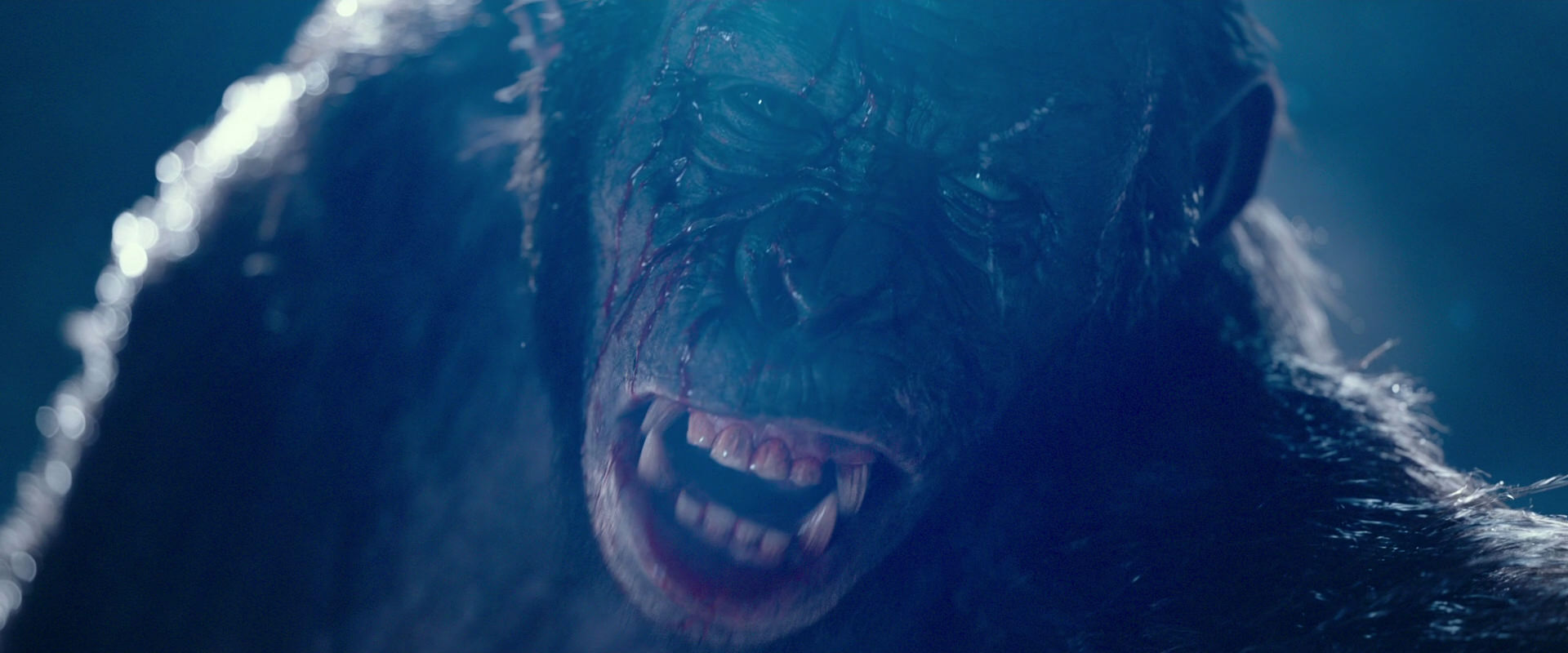 War for the Planet of the Apes (2017) movie still 10567