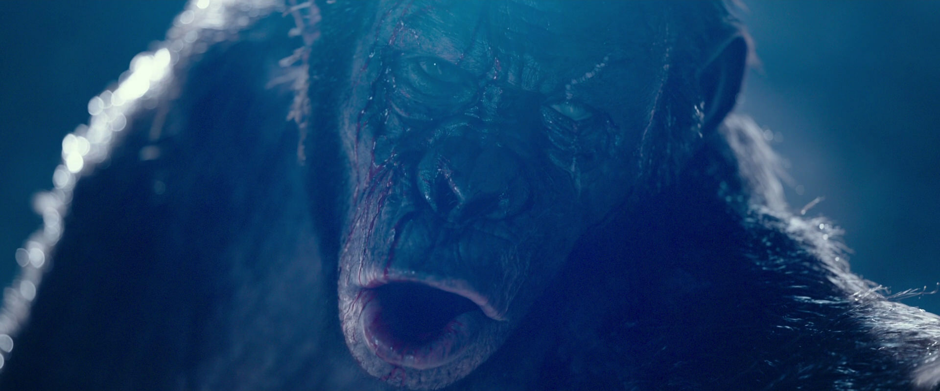 War for the Planet of the Apes (2017) screencap 10569