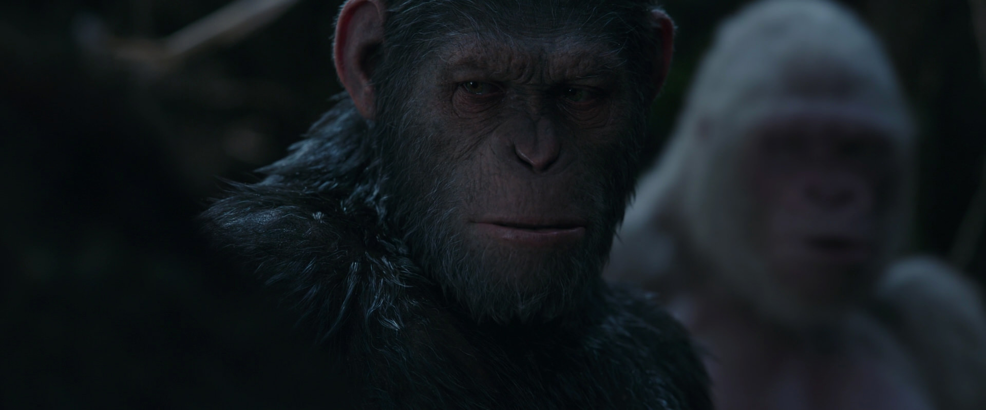 War for the Planet of the Apes (2017) movie still 1057