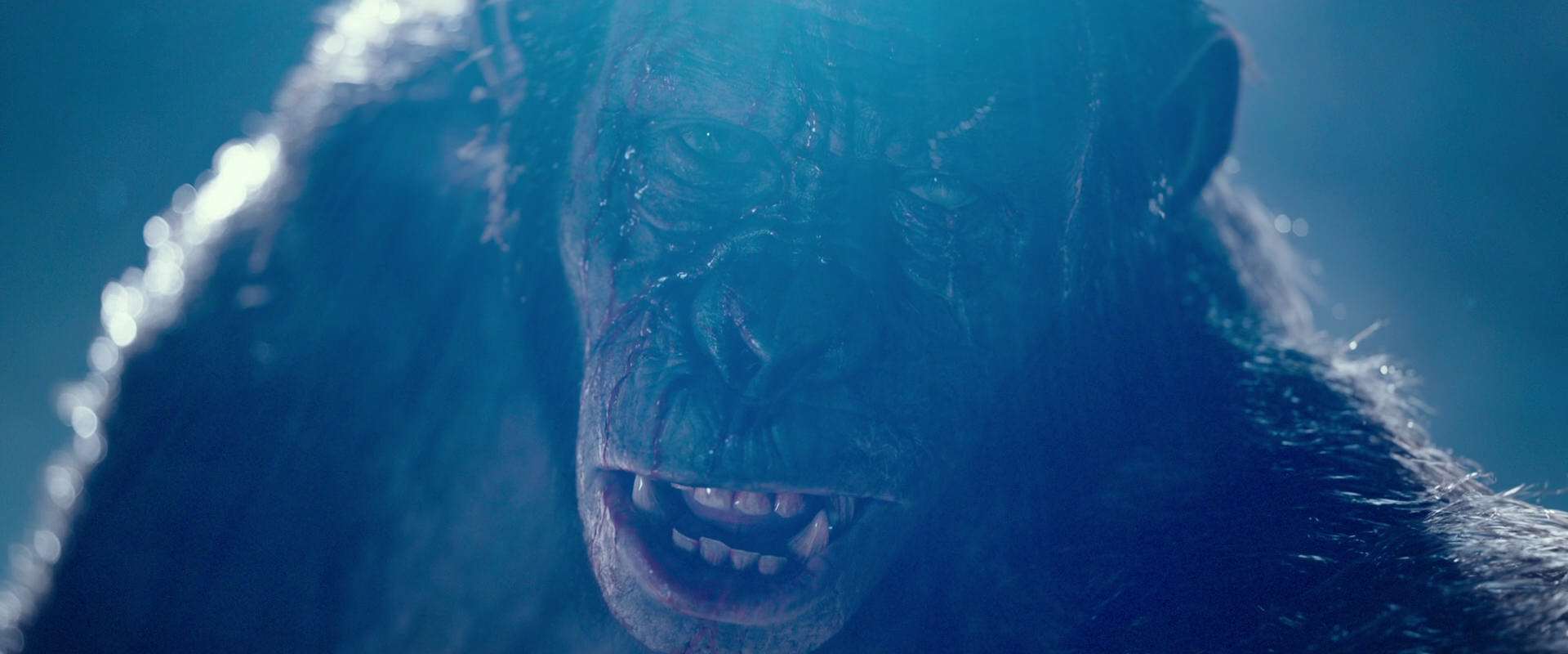 War for the Planet of the Apes (2017) screencap 10572