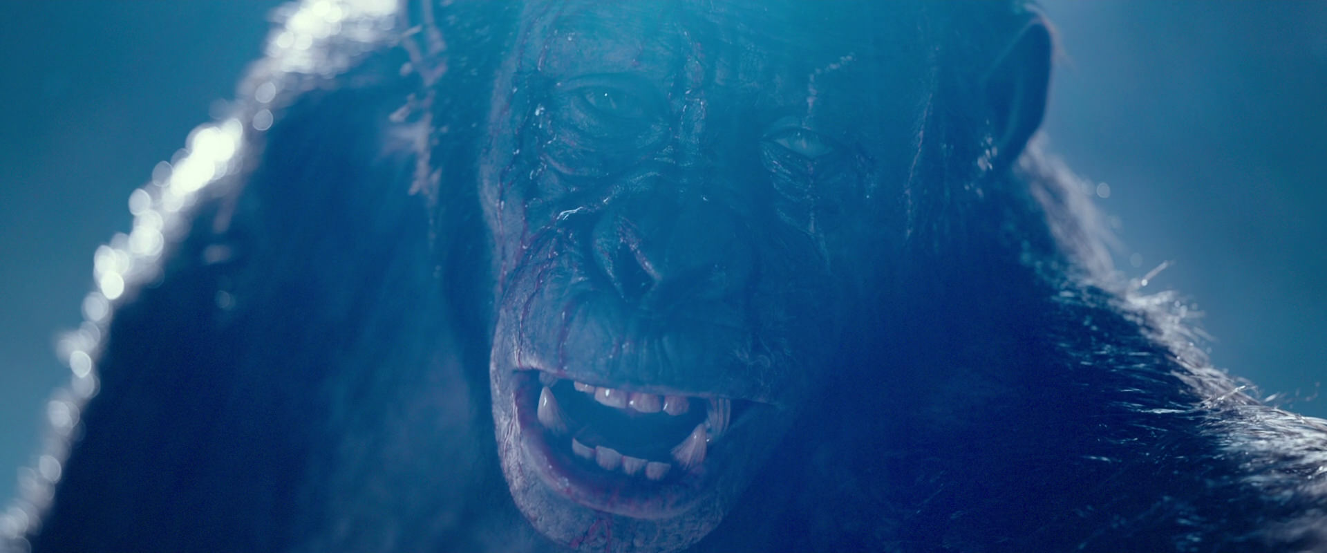 War for the Planet of the Apes (2017) movie still 10573