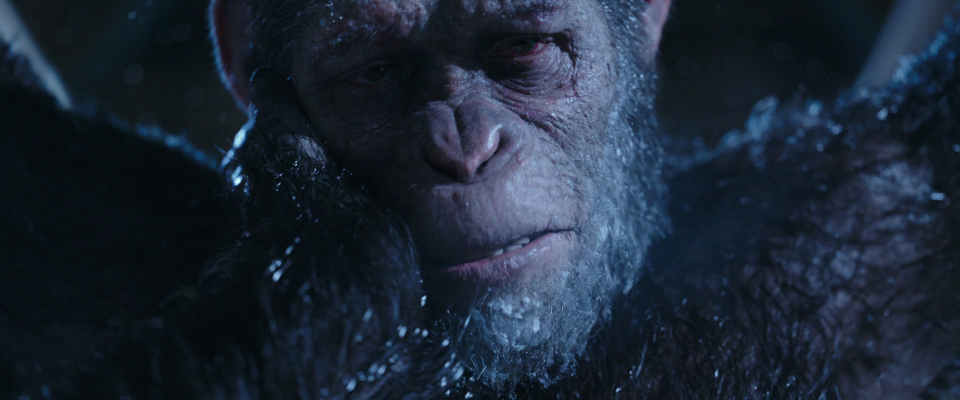 War for the Planet of the Apes (2017) HD screenshot 10574