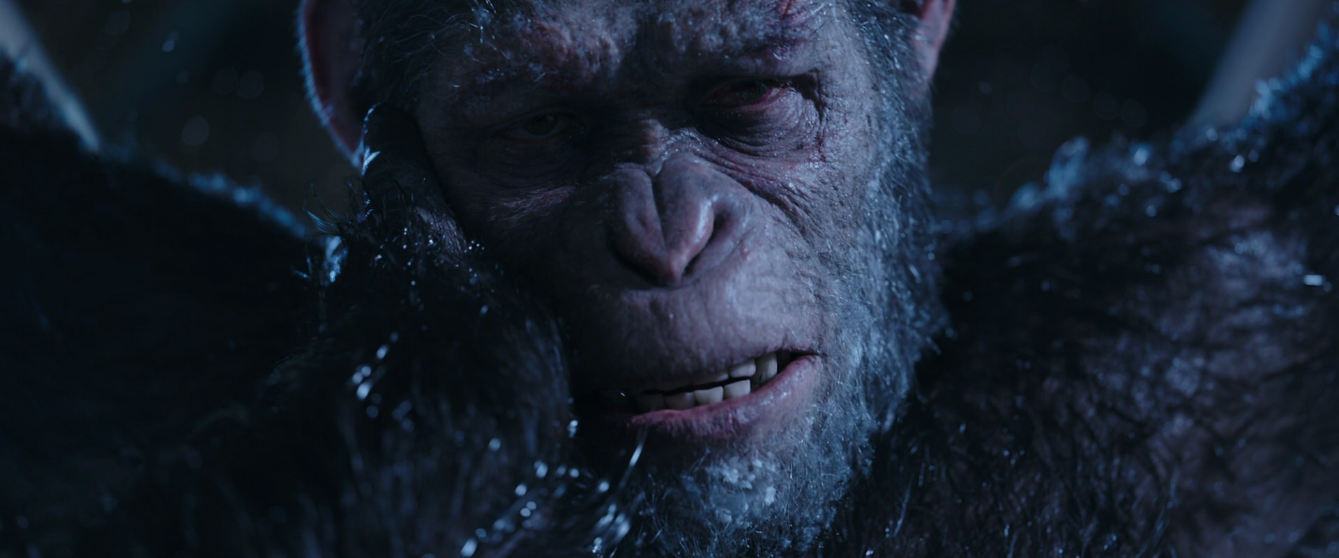 War for the Planet of the Apes (2017) screencap 10575