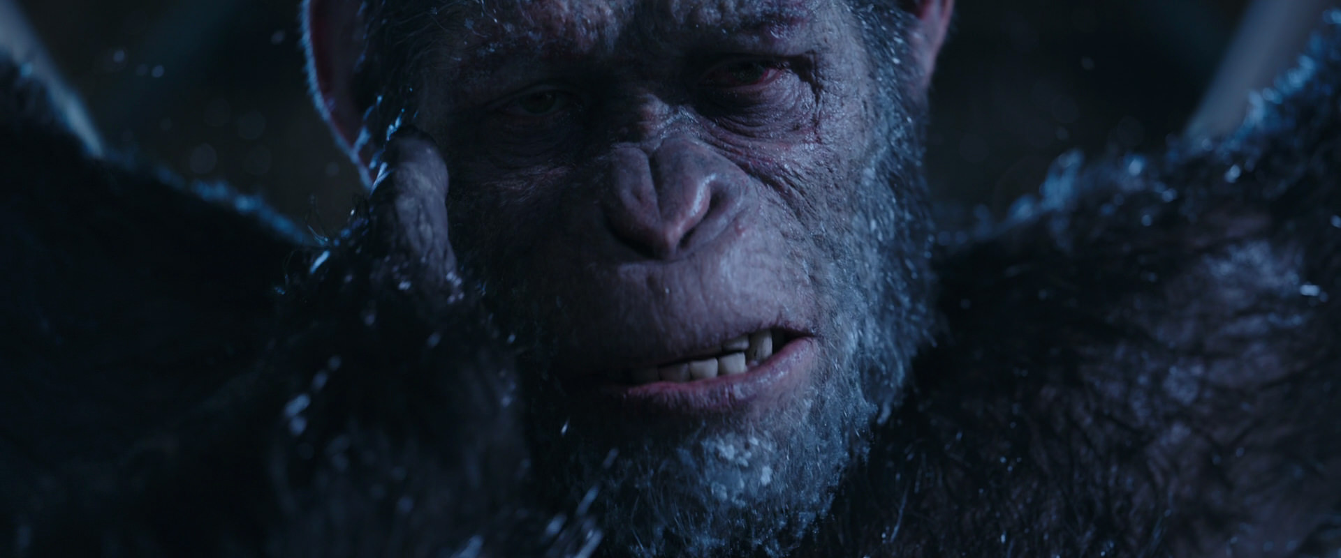 War for the Planet of the Apes (2017) movie still 10576