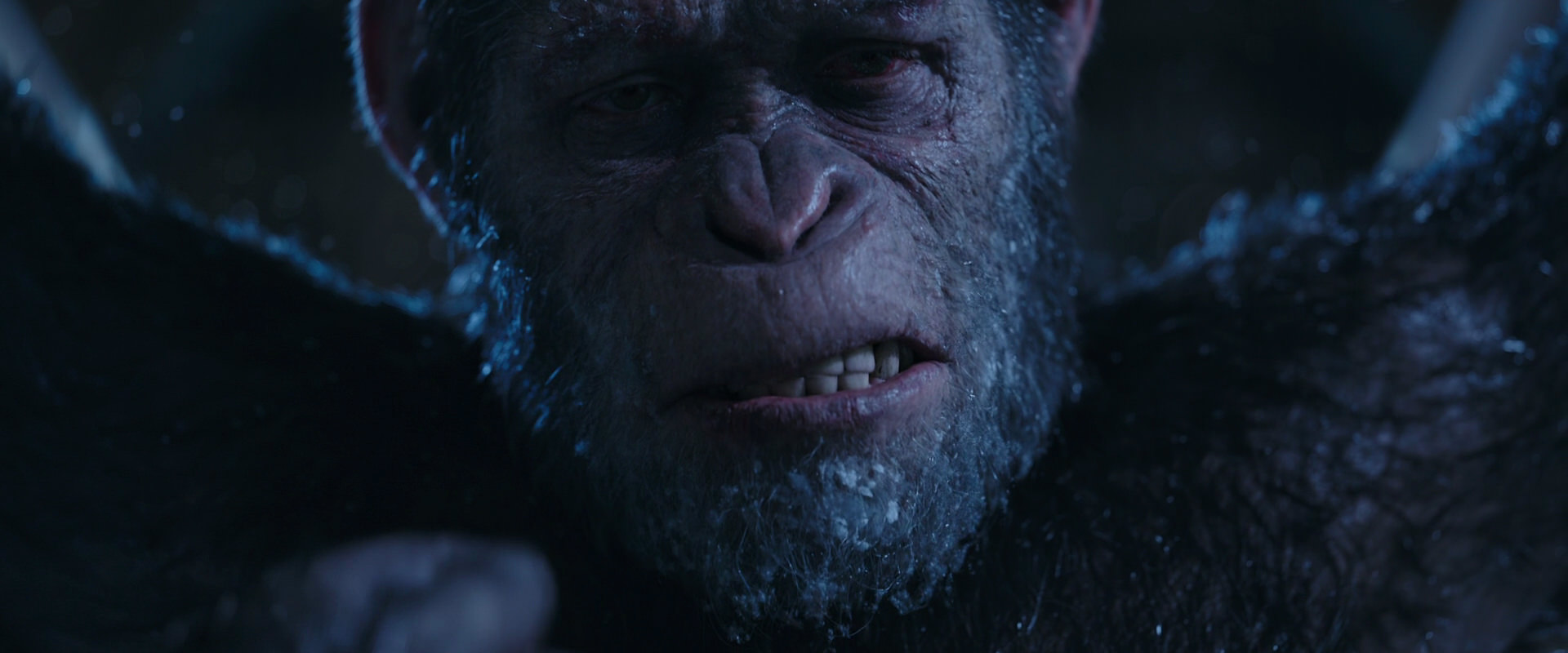 War for the Planet of the Apes (2017) HD screenshot 10577