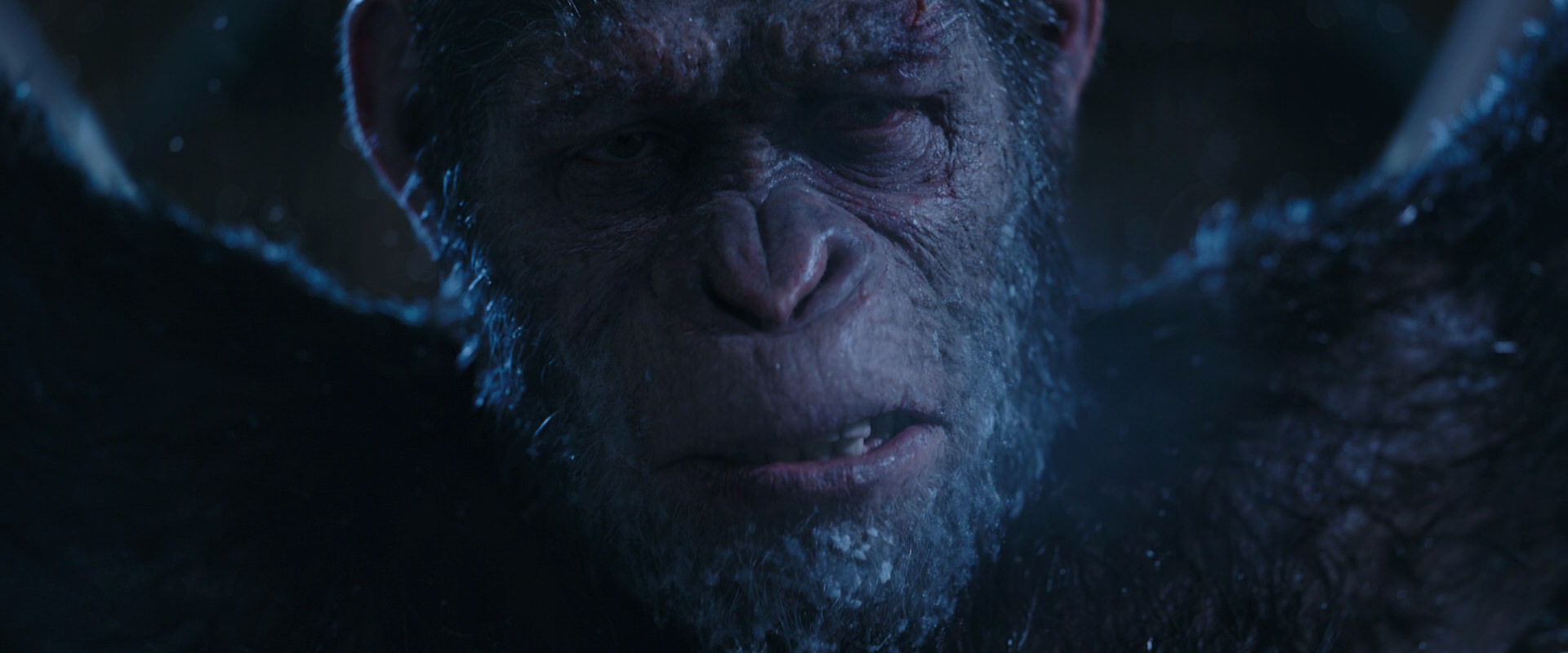War for the Planet of the Apes (2017) screencap 10578