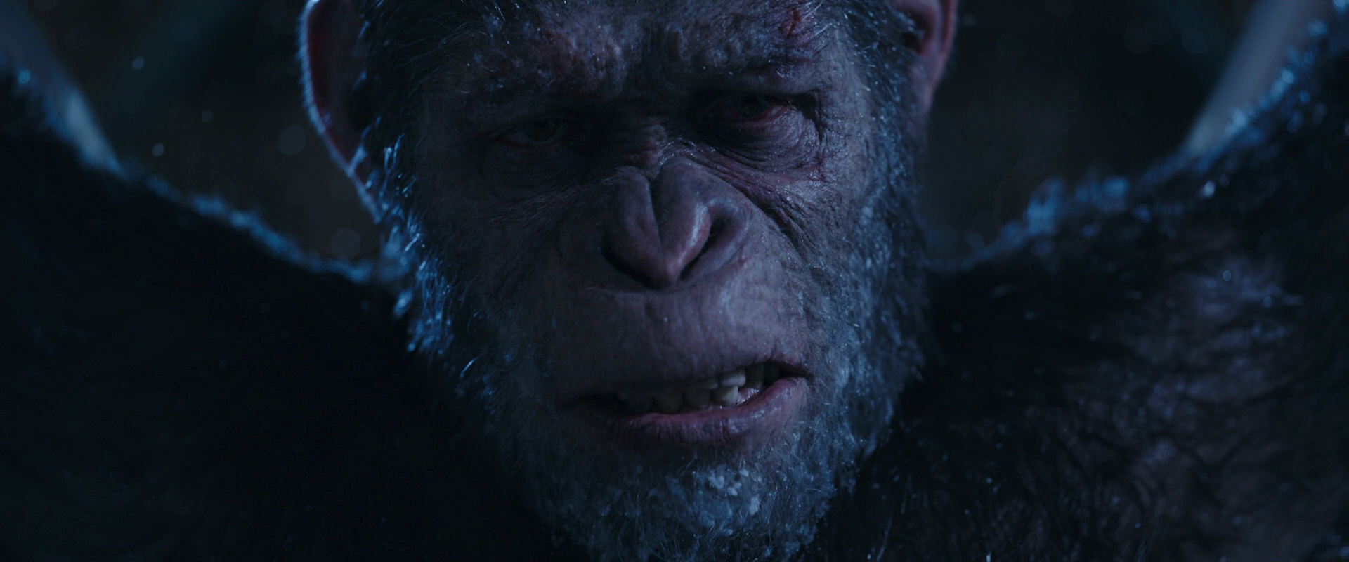 War for the Planet of the Apes (2017) movie still 10579