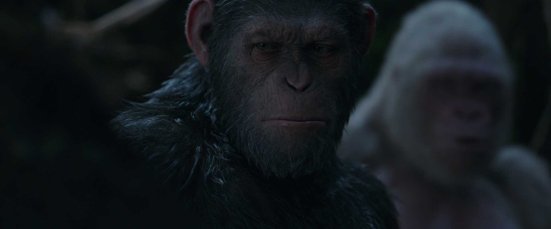 War for the Planet of the Apes (2017) HD screenshot 1058