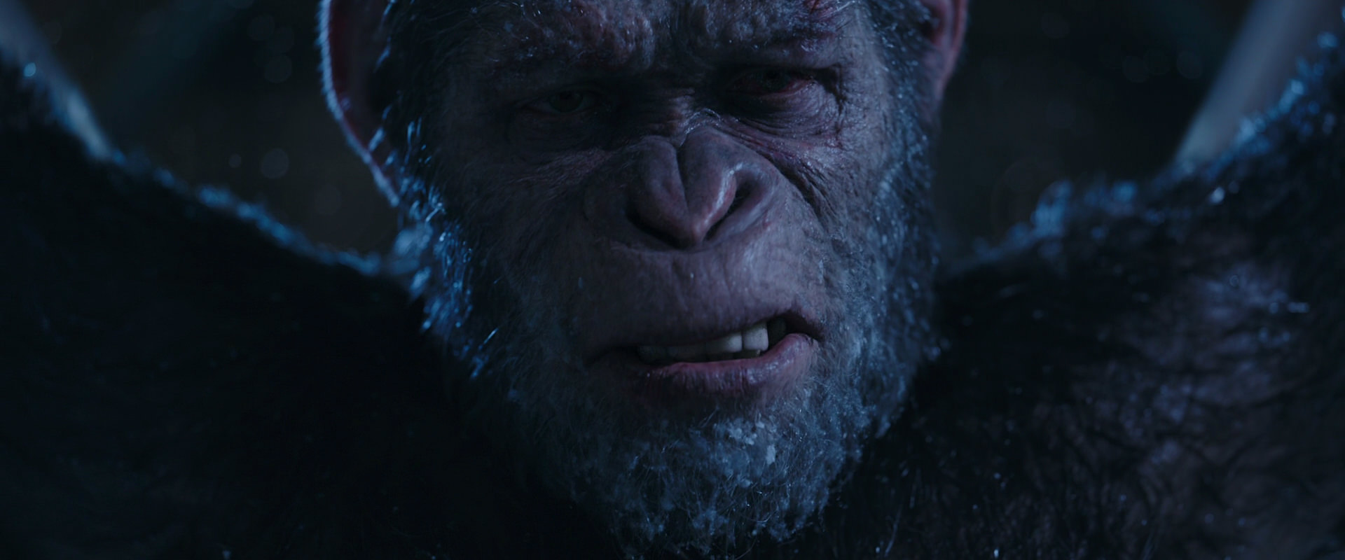 War for the Planet of the Apes (2017) HD screenshot 10580