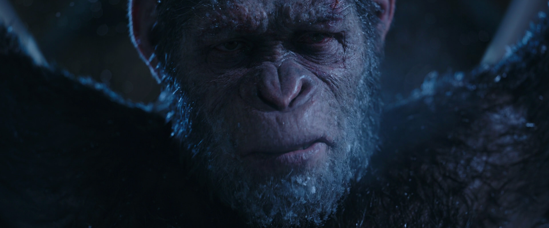 War for the Planet of the Apes (2017) screencap 10581