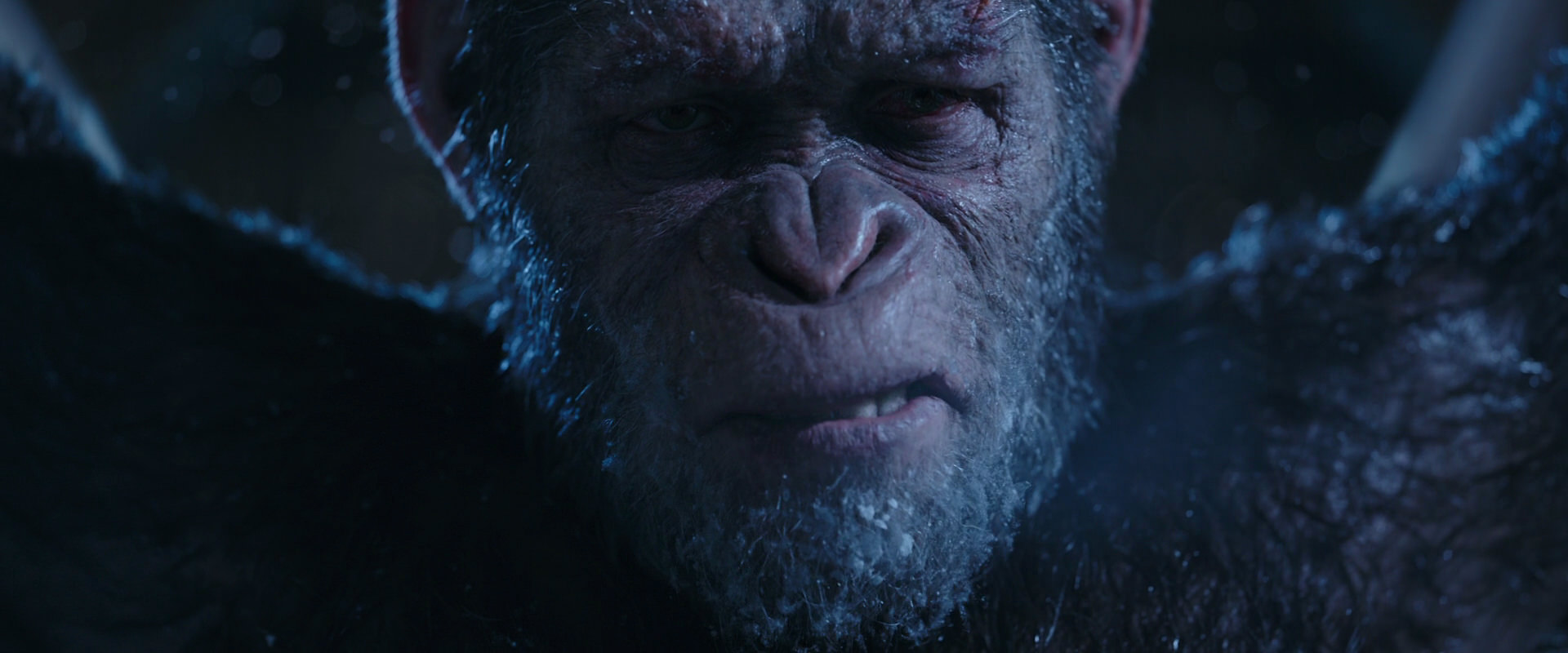 War for the Planet of the Apes (2017) movie still 10582