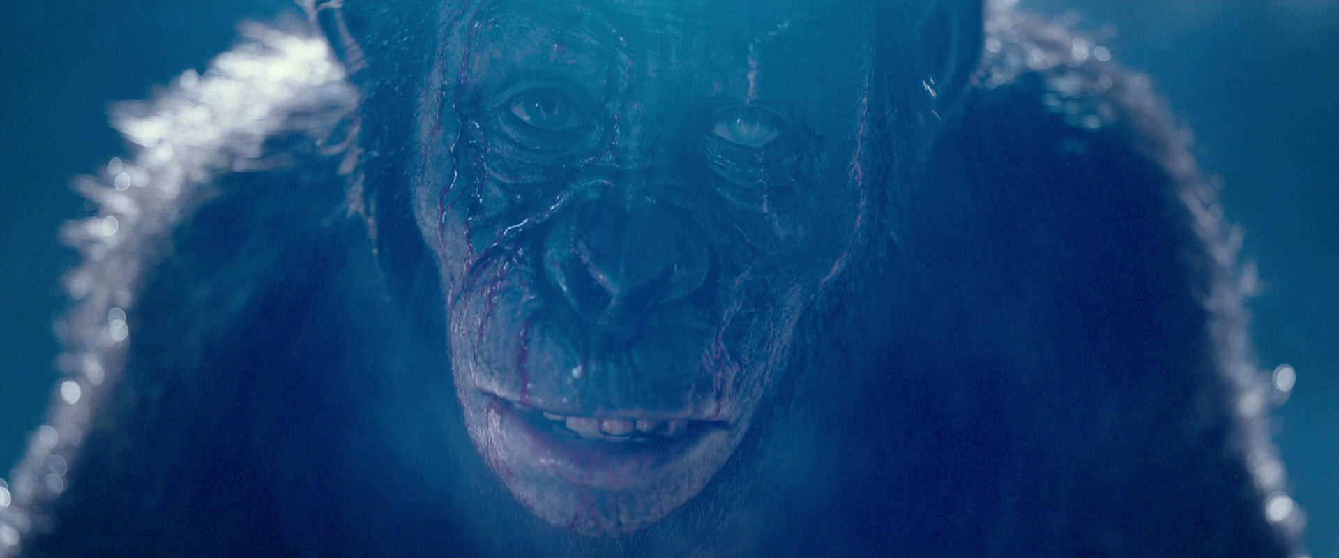 War for the Planet of the Apes (2017) screencap 10584