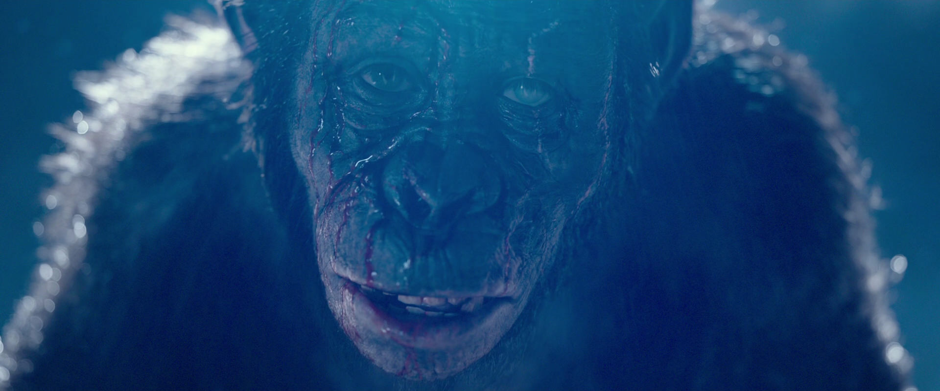 War for the Planet of the Apes (2017) movie still 10585