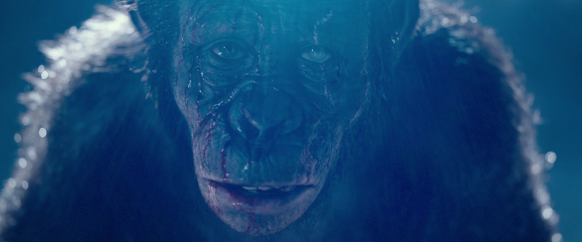 War for the Planet of the Apes (2017) movie still 10588
