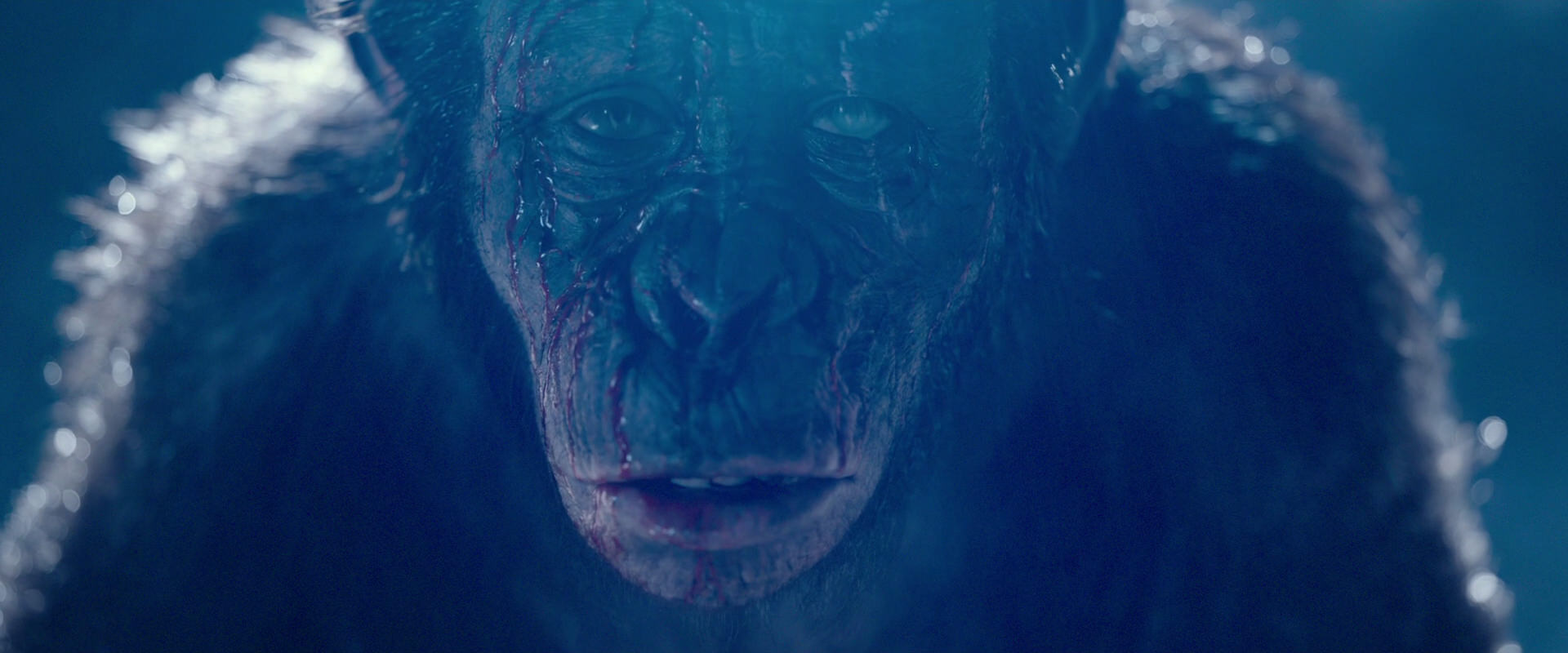 War for the Planet of the Apes (2017) HD screenshot 10589