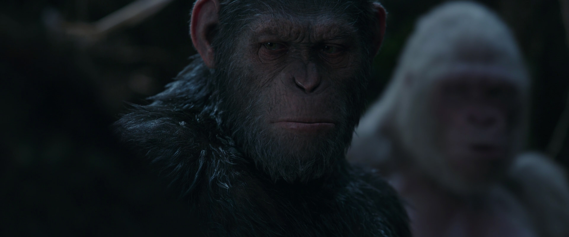 War for the Planet of the Apes (2017) screencap 1059