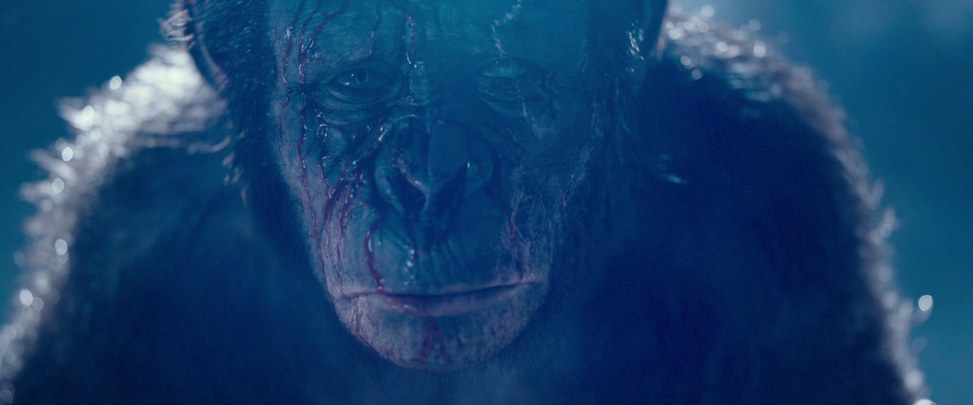 War for the Planet of the Apes (2017) movie still 10591