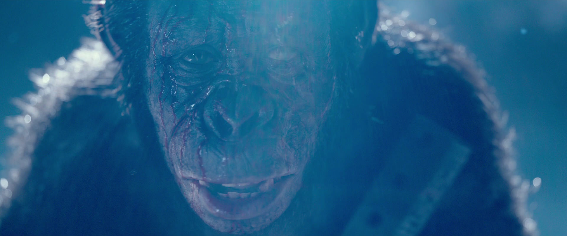 War for the Planet of the Apes (2017) HD screenshot 10592