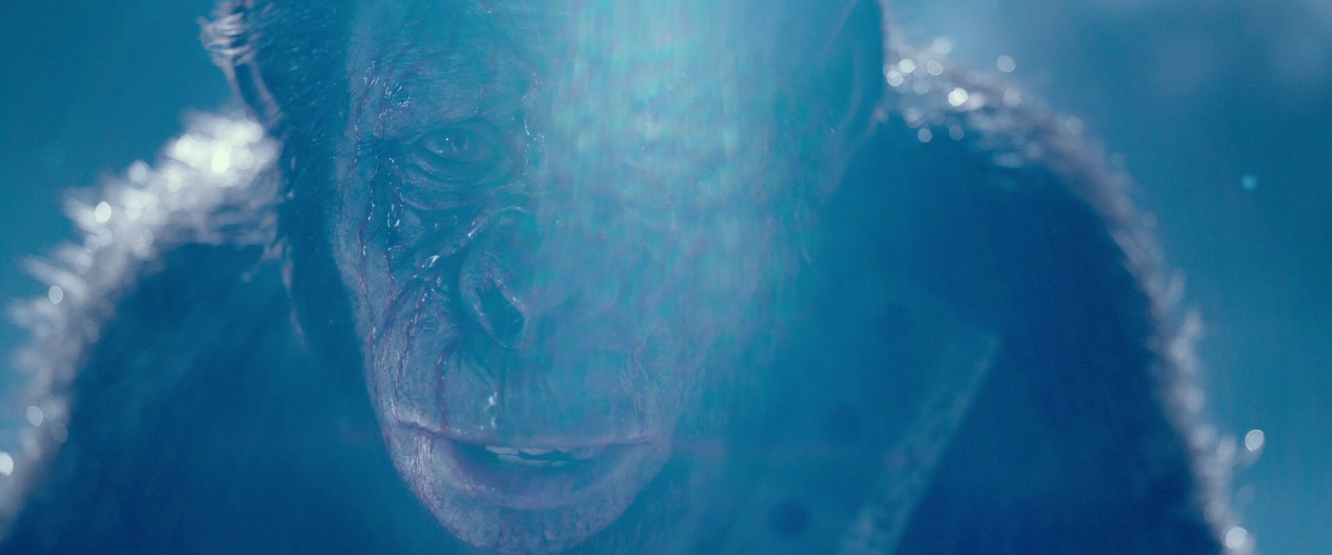 War for the Planet of the Apes (2017) screencap 10593