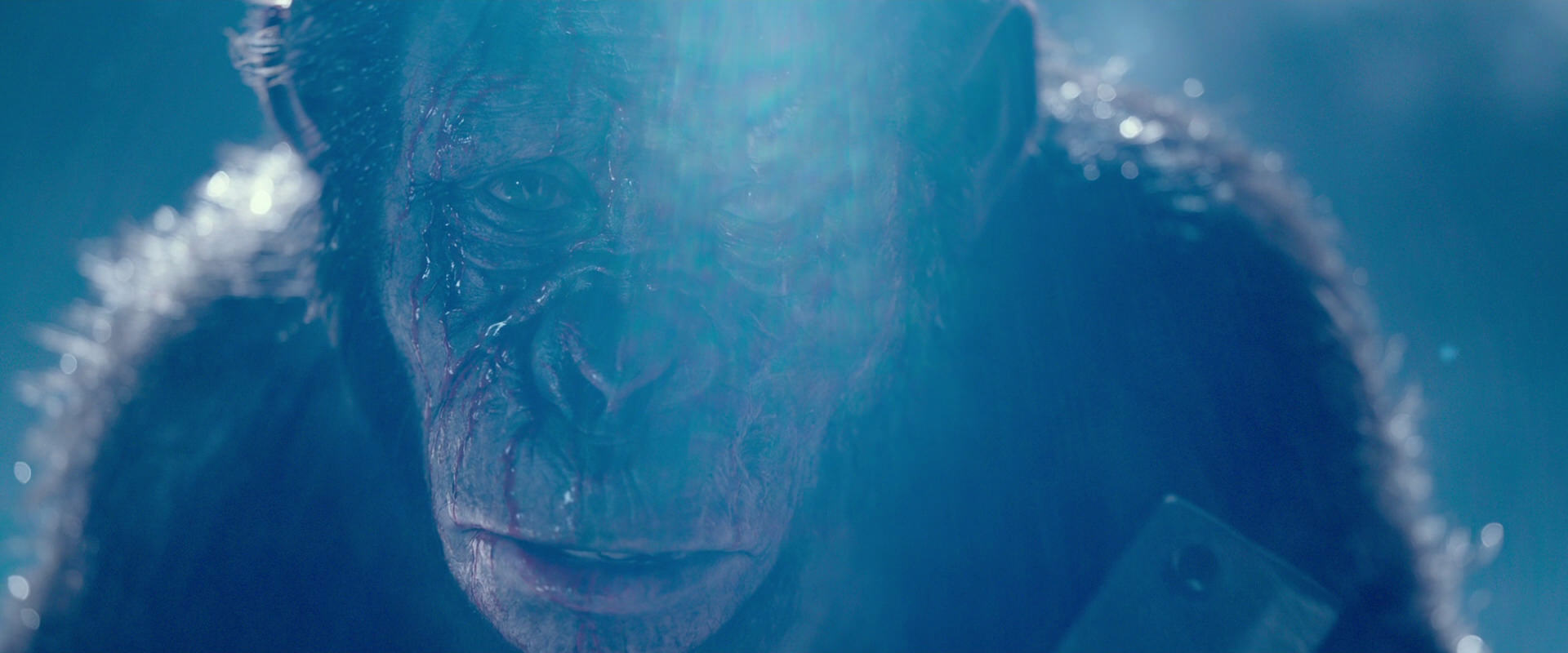 War for the Planet of the Apes (2017) movie still 10594
