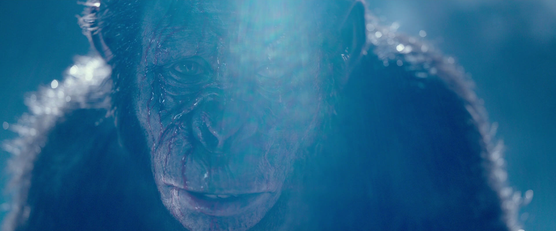 War for the Planet of the Apes (2017) HD screenshot 10595