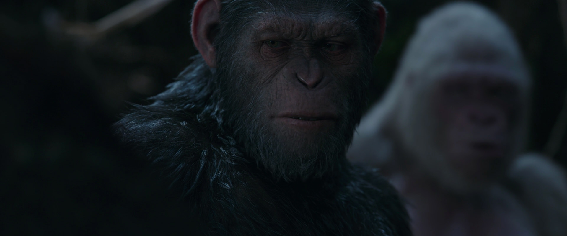 War for the Planet of the Apes (2017) movie still 1060