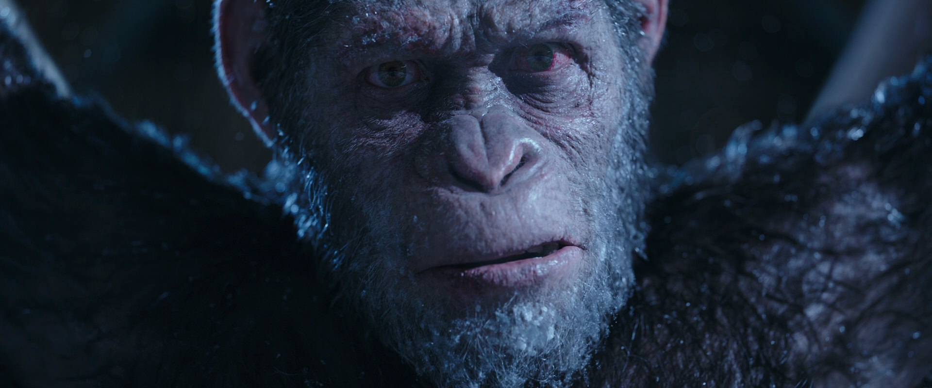 War for the Planet of the Apes (2017) HD screenshot 10601