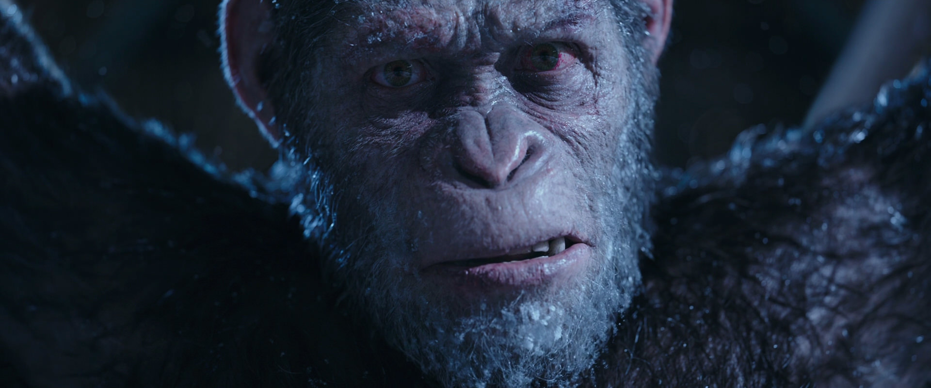 War for the Planet of the Apes (2017) screencap 10602