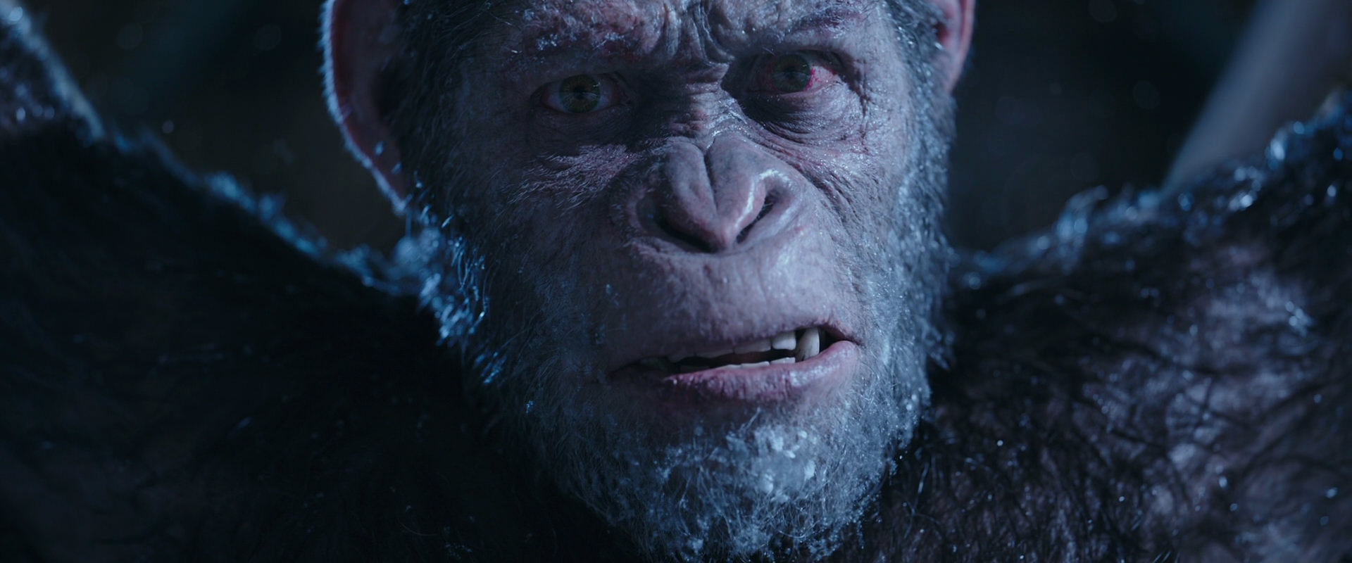 War for the Planet of the Apes (2017) movie still 10603
