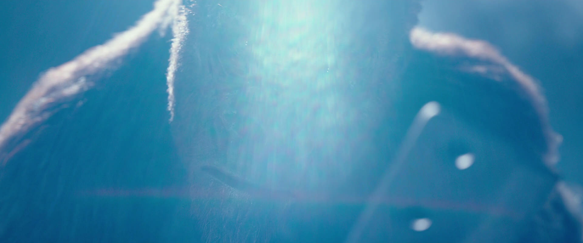 War for the Planet of the Apes (2017) screencap 10605