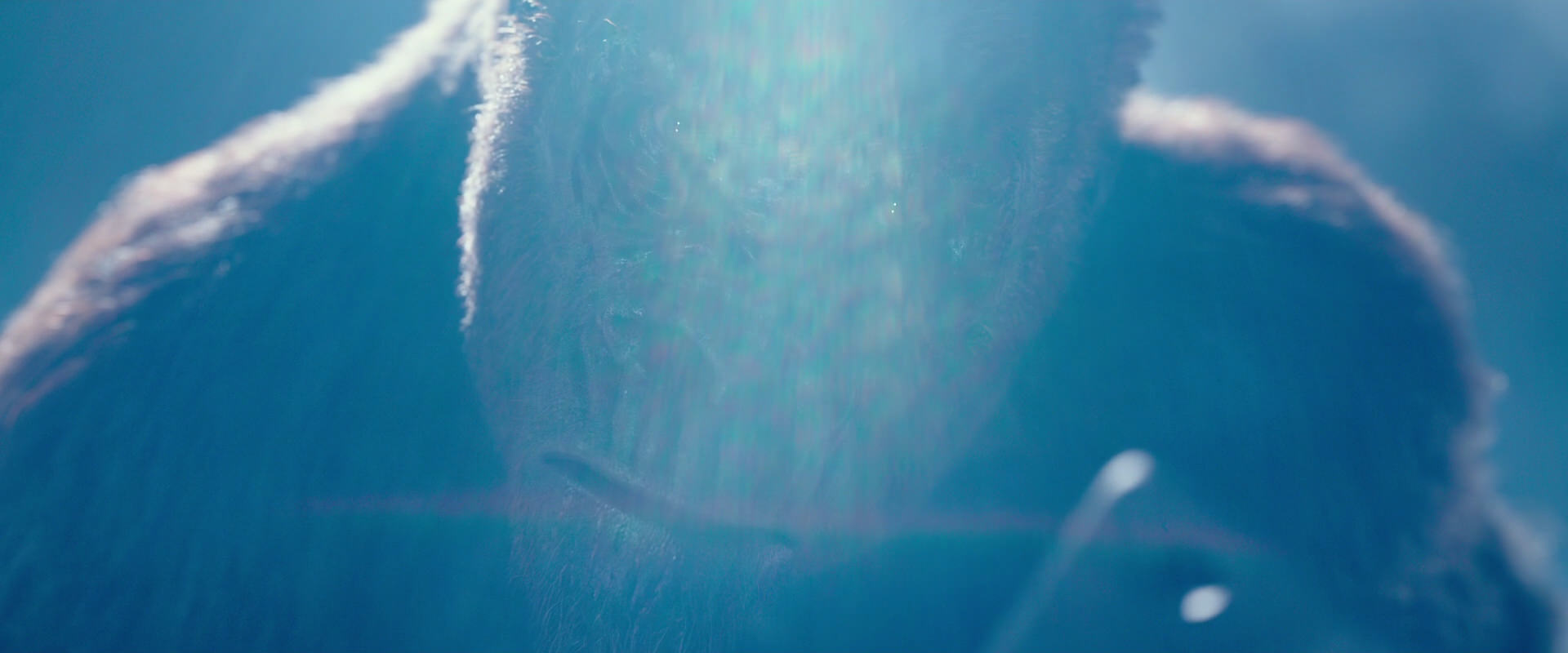 War for the Planet of the Apes (2017) movie still 10606