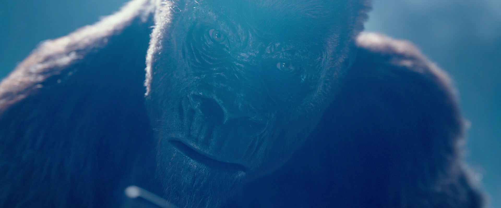 War for the Planet of the Apes (2017) screencap 10608