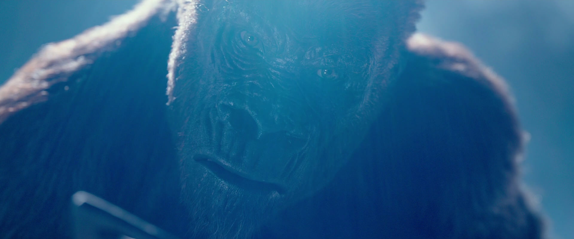 War for the Planet of the Apes (2017) movie still 10609
